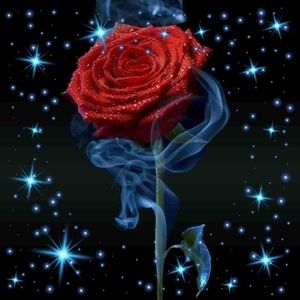 Meet your Posher, Cynthia